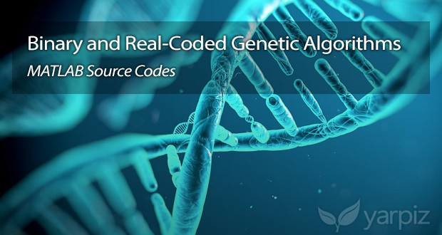 Binary options genetic algorithm