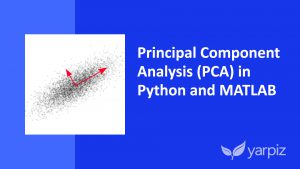 Principal Component Analysis (PCA) in Python and MATLAB — Video Tutorial